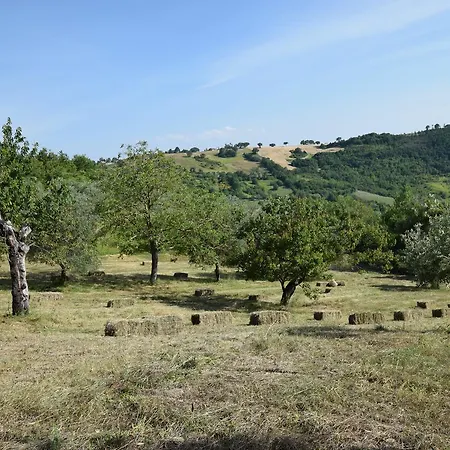 Terra Selvatica 3* Valfabbrica