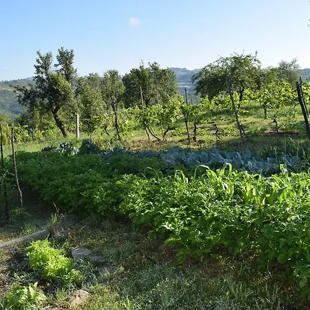 Terra Selvatica Bed & Breakfast 3*