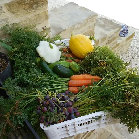 Terra Selvatica Bed & Breakfast 3*