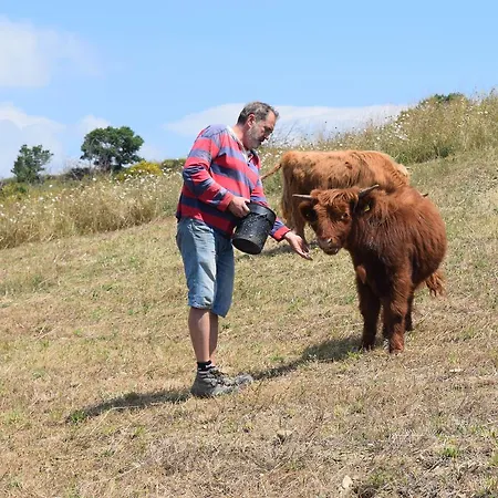 Terra Selvatica Bed & Breakfast 3*