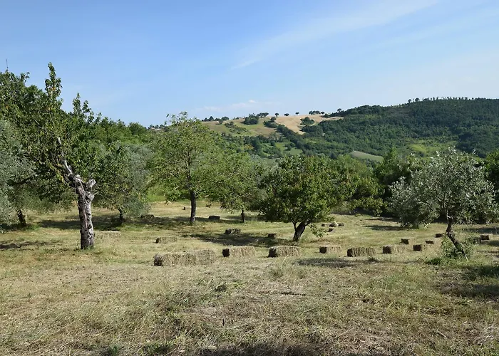 Terra Selvatica 3* Valfabbrica