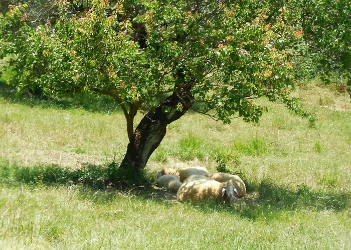 Terra Selvatica 3* Valfabbrica