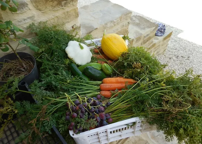 Terra Selvatica Couette-café 3*