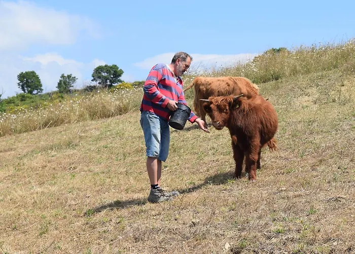 Terra Selvatica Couette-café 3*